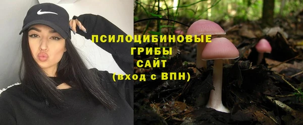 mdma Корсаков