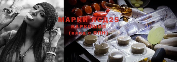 дживик Коряжма