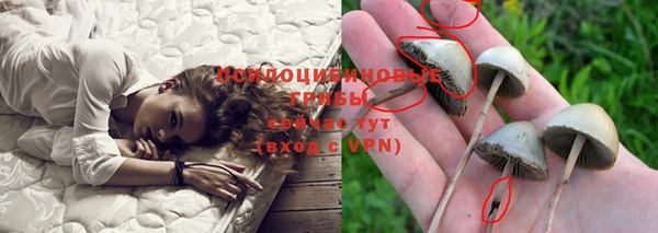 spice Костерёво
