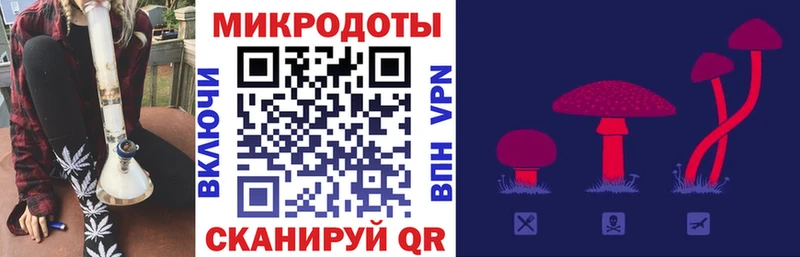 Псилоцибиновые грибы Cubensis  Купить где  Кудрово 