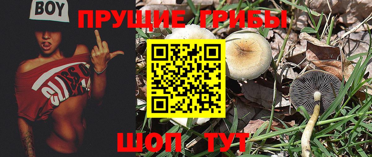 Галлюциногенные грибы мицелий Кудрово