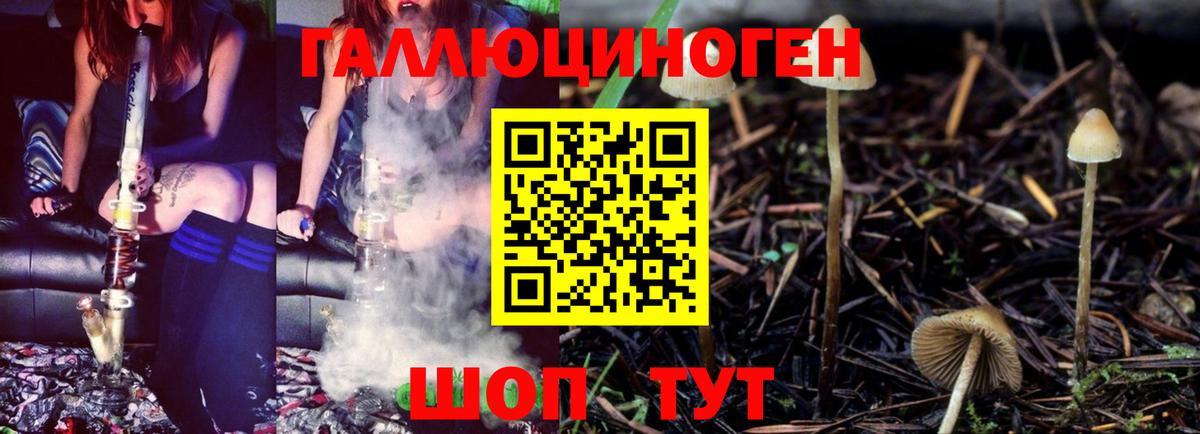 Кудрово  Галлюциногенные грибы MAGIC MUSHROOMS  Галлюциногенные грибы мицелий  Вход с VPN 