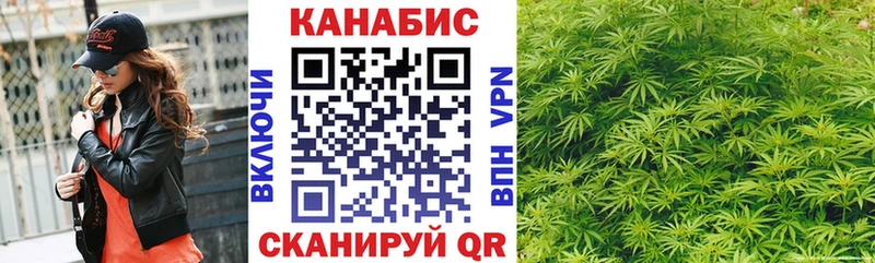 Купить закладки  Кудрово  Конопля планчик 